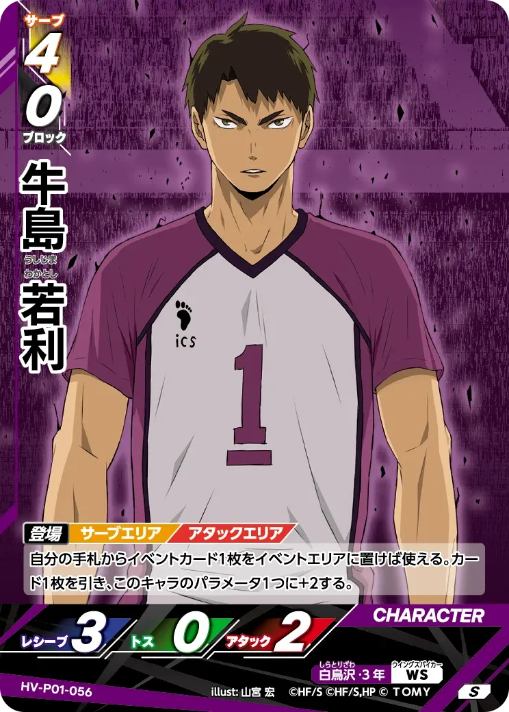 haikyu Shiratorizawa #01