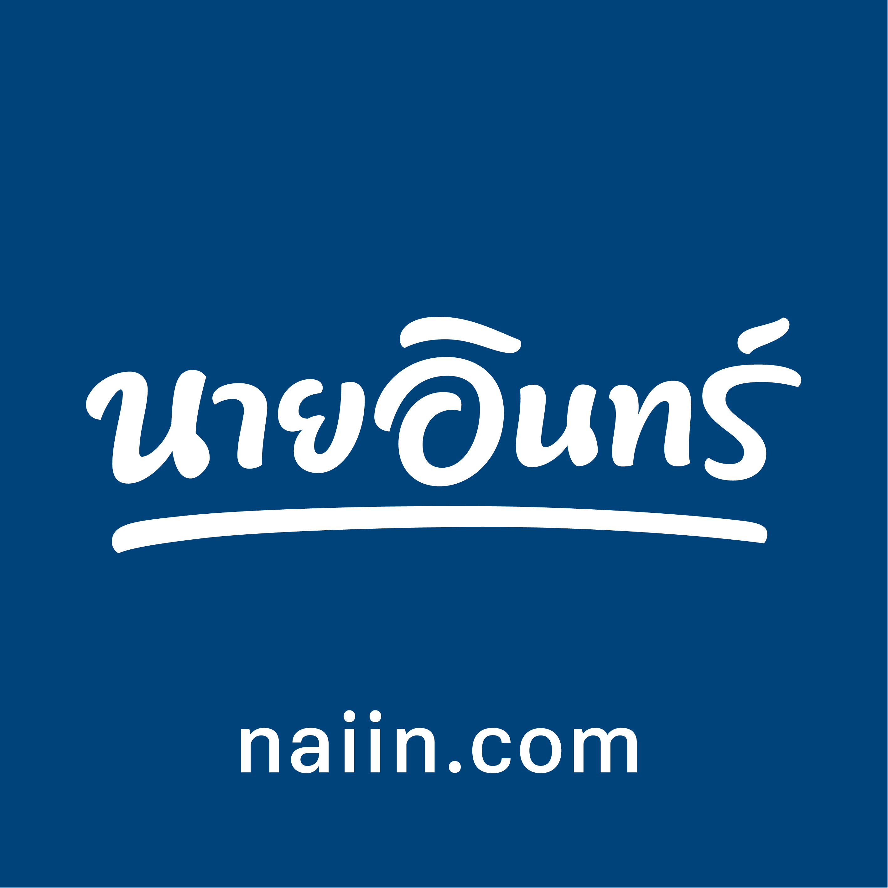 Naiin logo